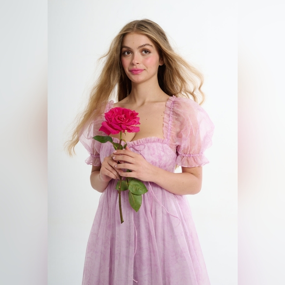 BNWT Selkie The Pink Porcelain Silk Gauze Seashell Gown - Picture 4 of 6